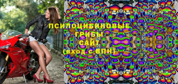 PSILOCYBIN Абинск