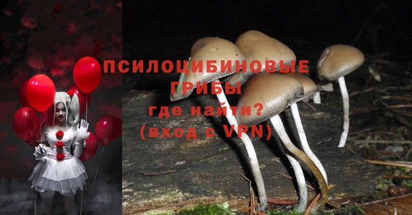 PSILOCYBIN Абинск